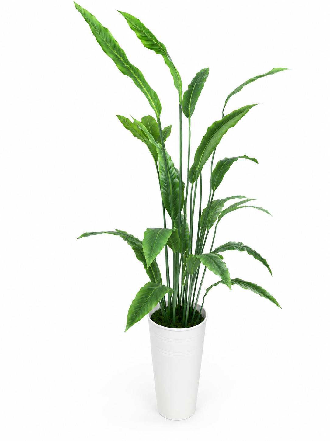 درختچه مصنوعی پرنده بهشتی